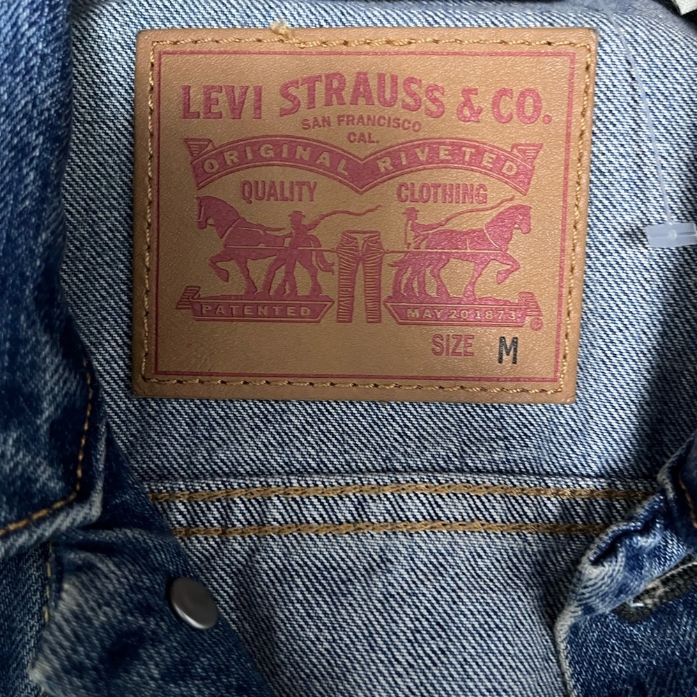 Levi Vest - Picture 3 of 3